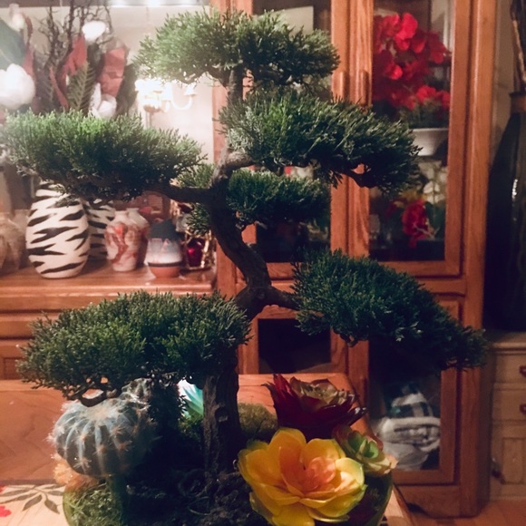 Bonsai Tree arrangement extremely life-like. - Picture 5 of 7